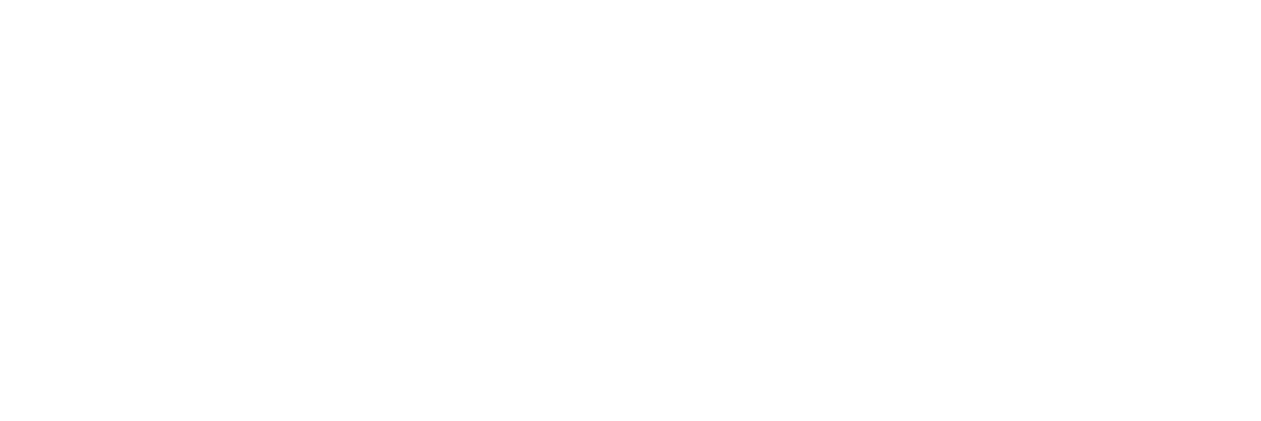 PixelDubbing